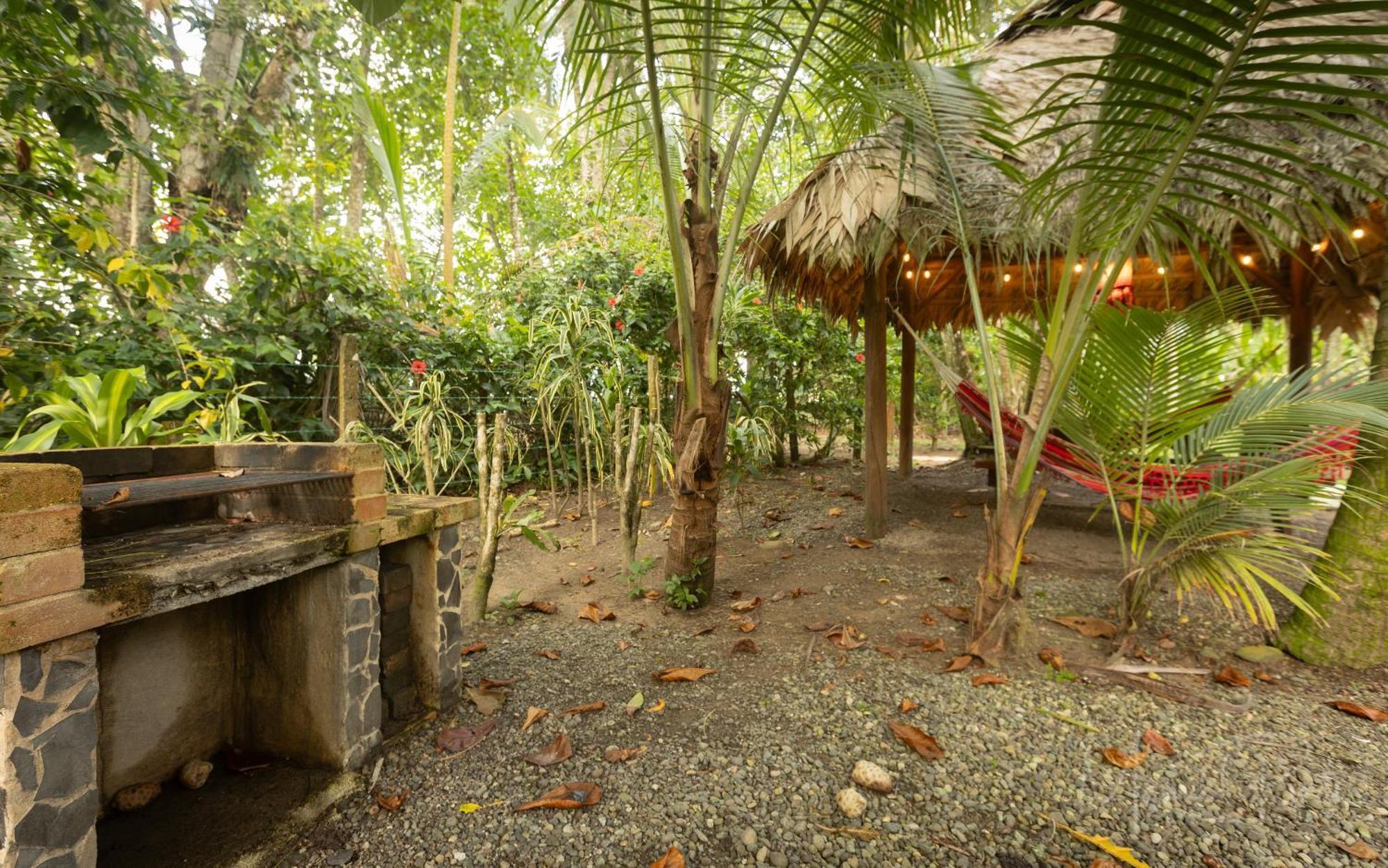 Our Beachfront Bungalow Punta Uva Eksteriør billede